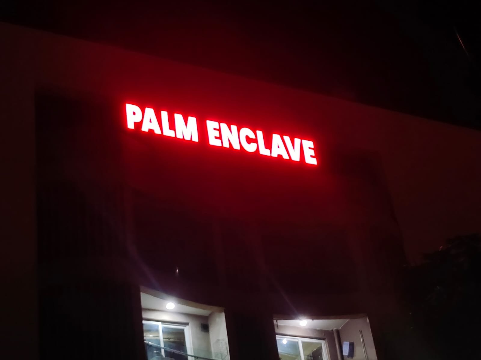Acrylic LED Board Palm Encleave 2